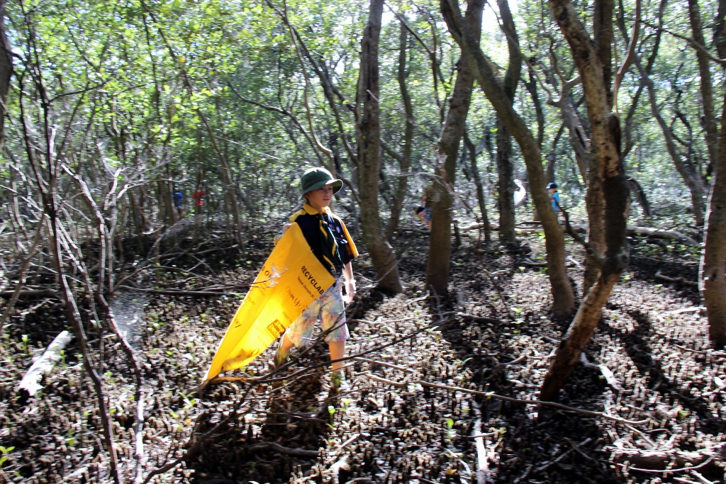 Mangroves Clean Up Aust Day 2016